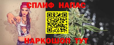 меф Кингисепп