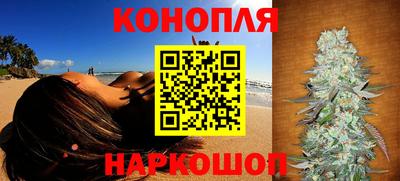 меф Кингисепп