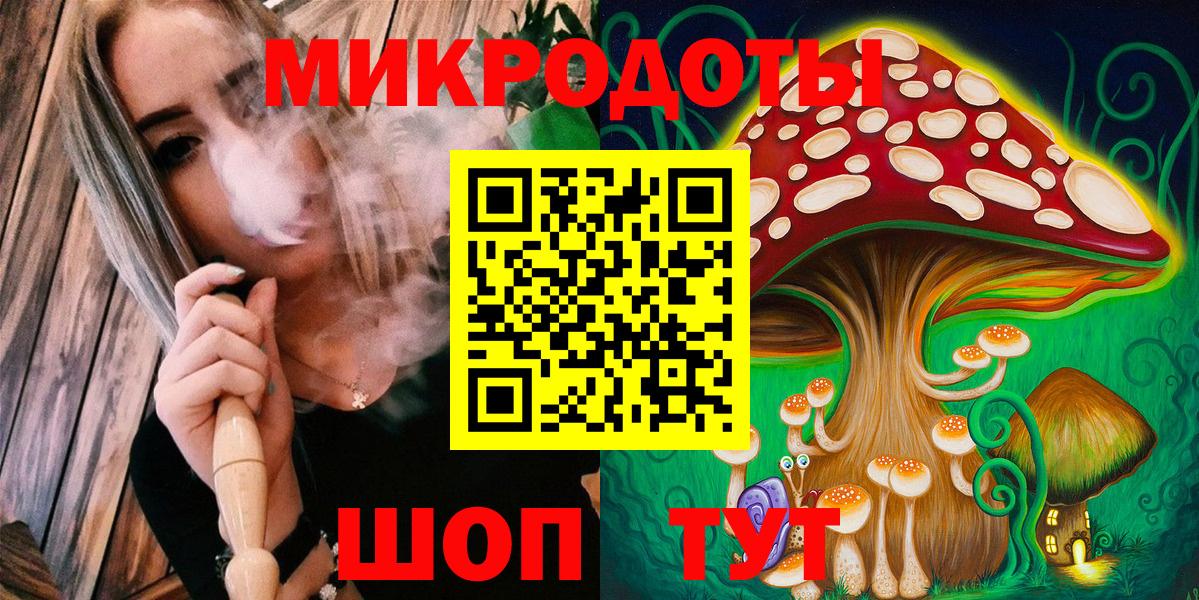 Киселёвск  как найти   Псилоцибиновые грибы Psilocybine cubensis  Вход с VPN  Псилоцибиновые грибы Psilocybe 