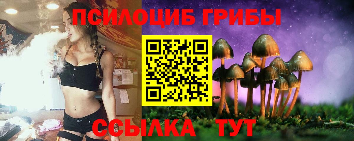 Псилоцибиновые грибы ЛСД Киселёвск